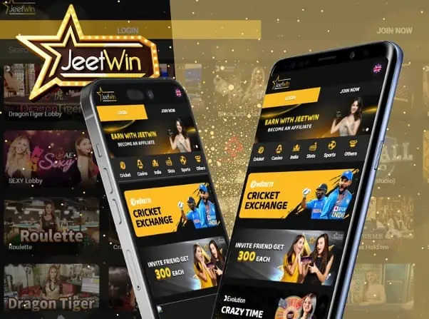 কিভাবে JeeTwin এ আমার টাকা নির্যাট রেকর্ড খুঁজে পাওয়া যায়?